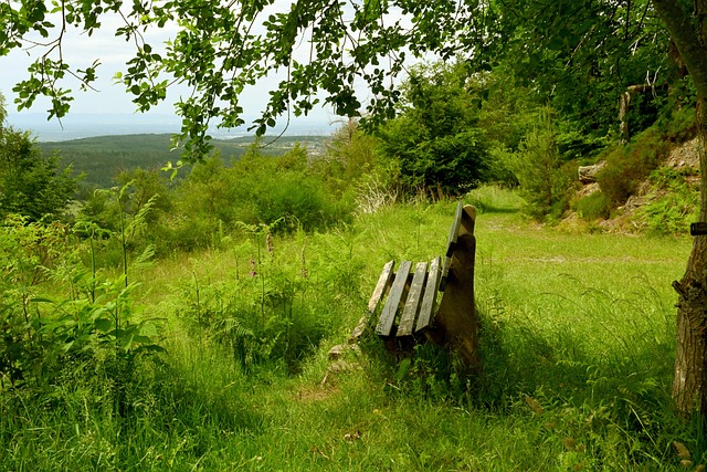 迅速反应 迅速反应