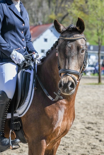 度上突显出 度上突显出