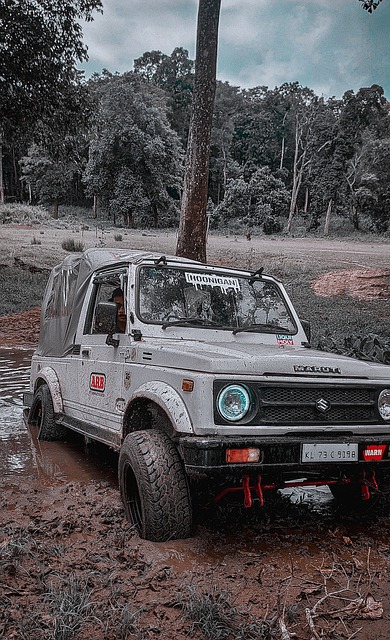 这一项目强 这一项目强