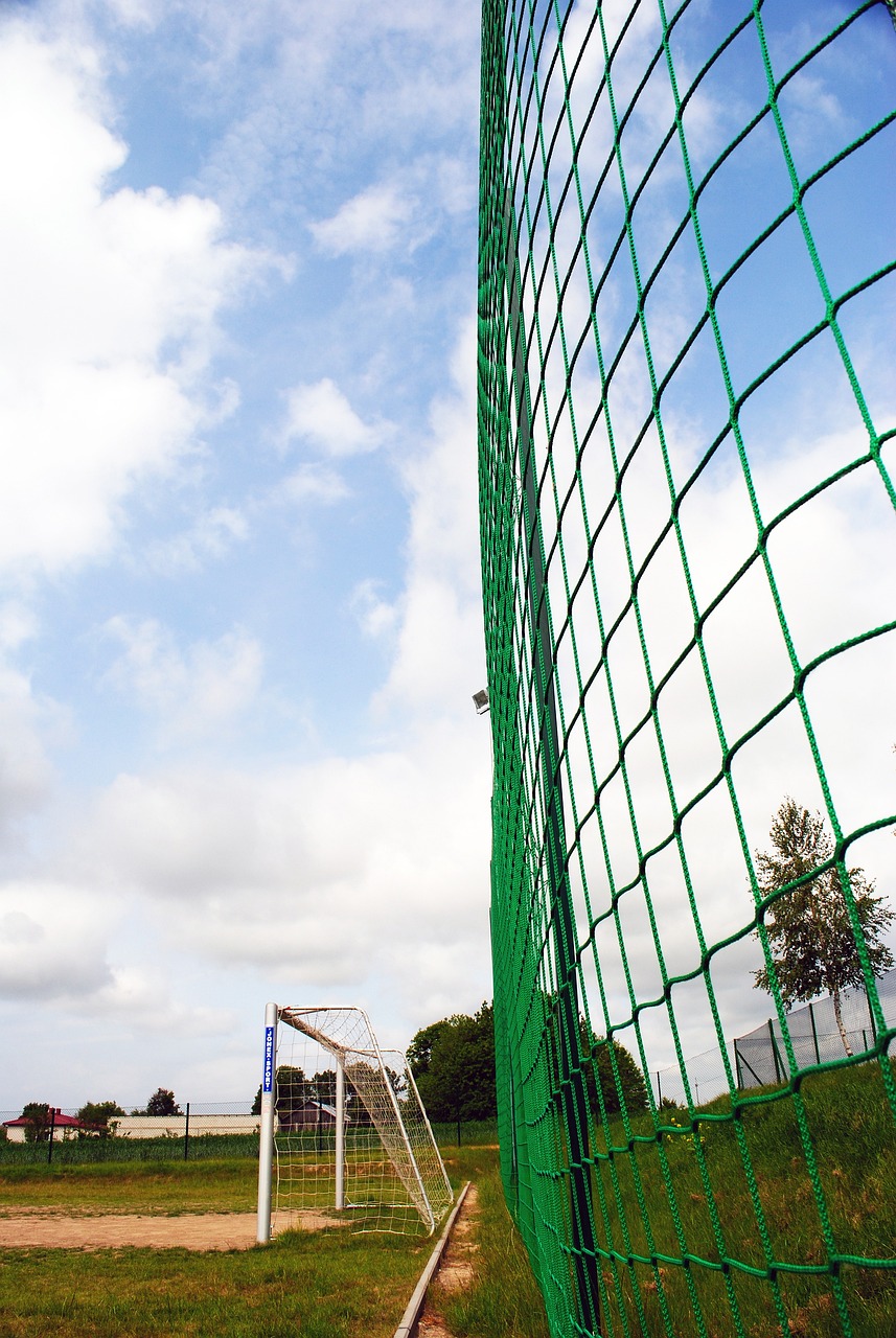 化发展提供 化发展提供