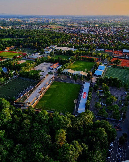 这样的人性 这样的人性