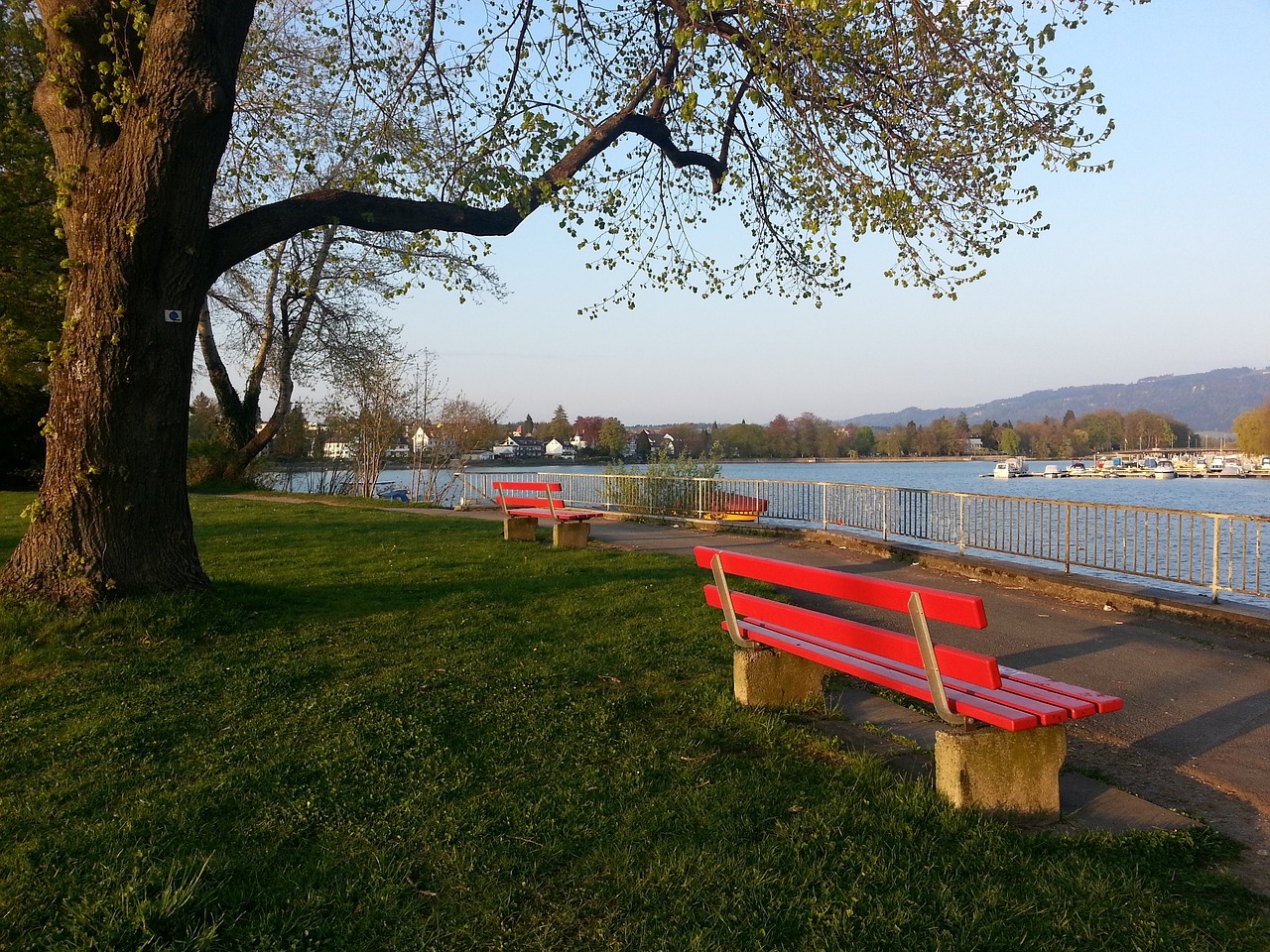 业生涯令人 业生涯令人